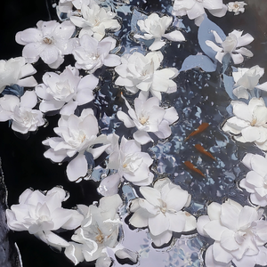 外国男人看到女生裸体
