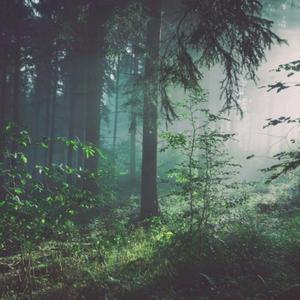 外国男人看到女生裸体
